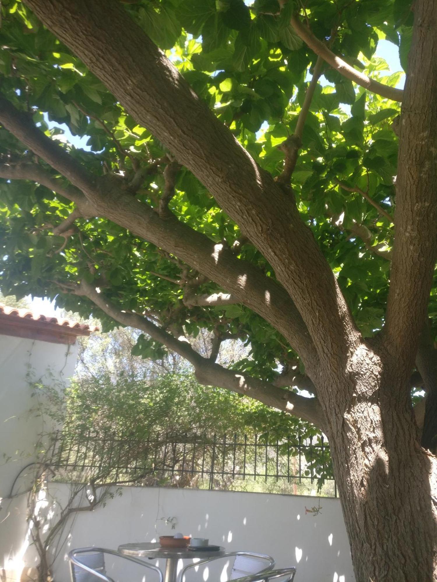 Yfantis Sakis Apartment'S Ερατεινή Εξωτερικό φωτογραφία