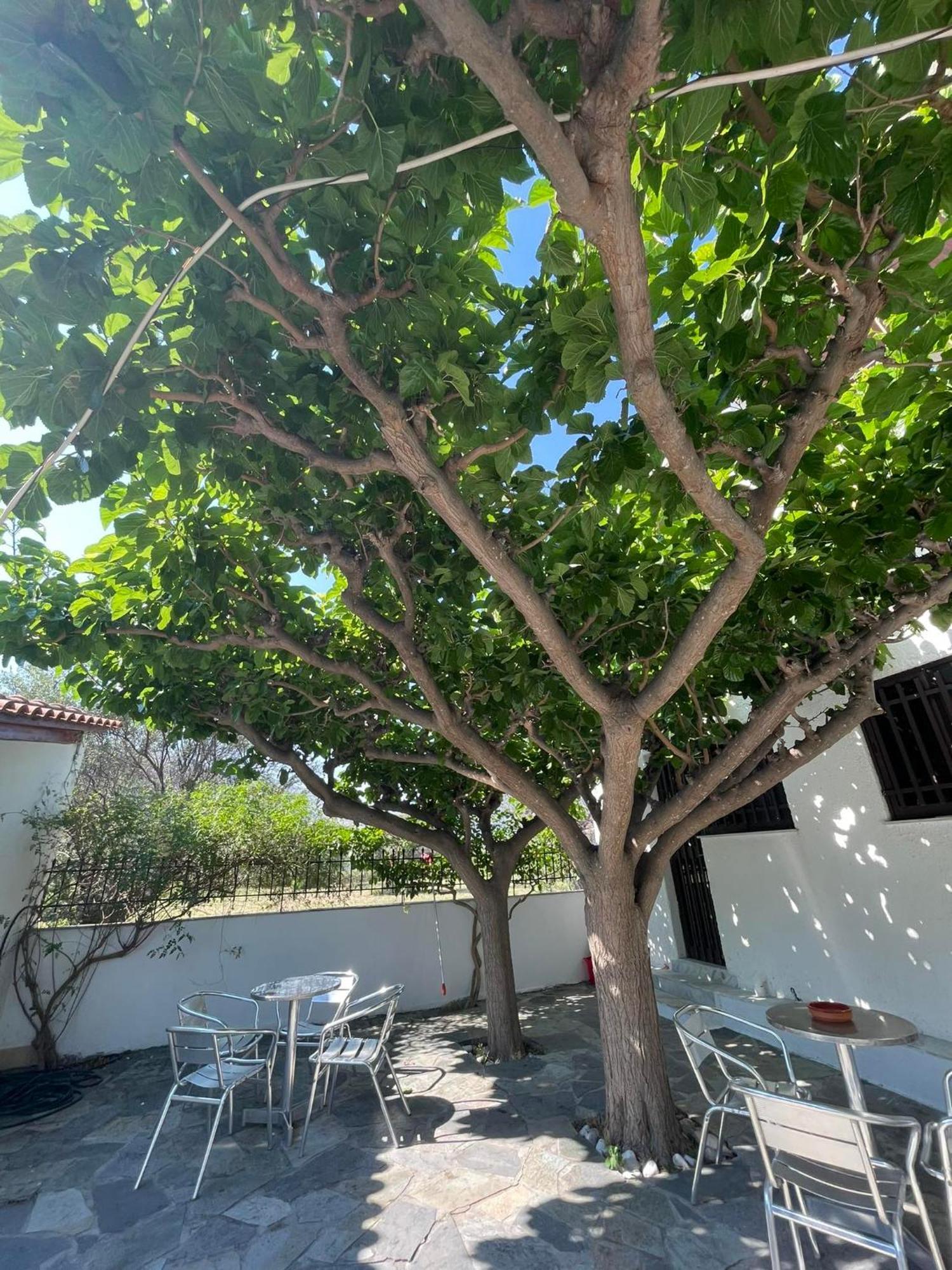 Yfantis Sakis Apartment'S Ερατεινή Εξωτερικό φωτογραφία